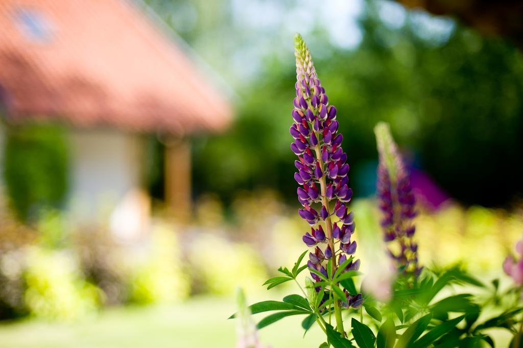 Siedlisko Grabinowo K/Olsztyna Villa ภายนอก รูปภาพ