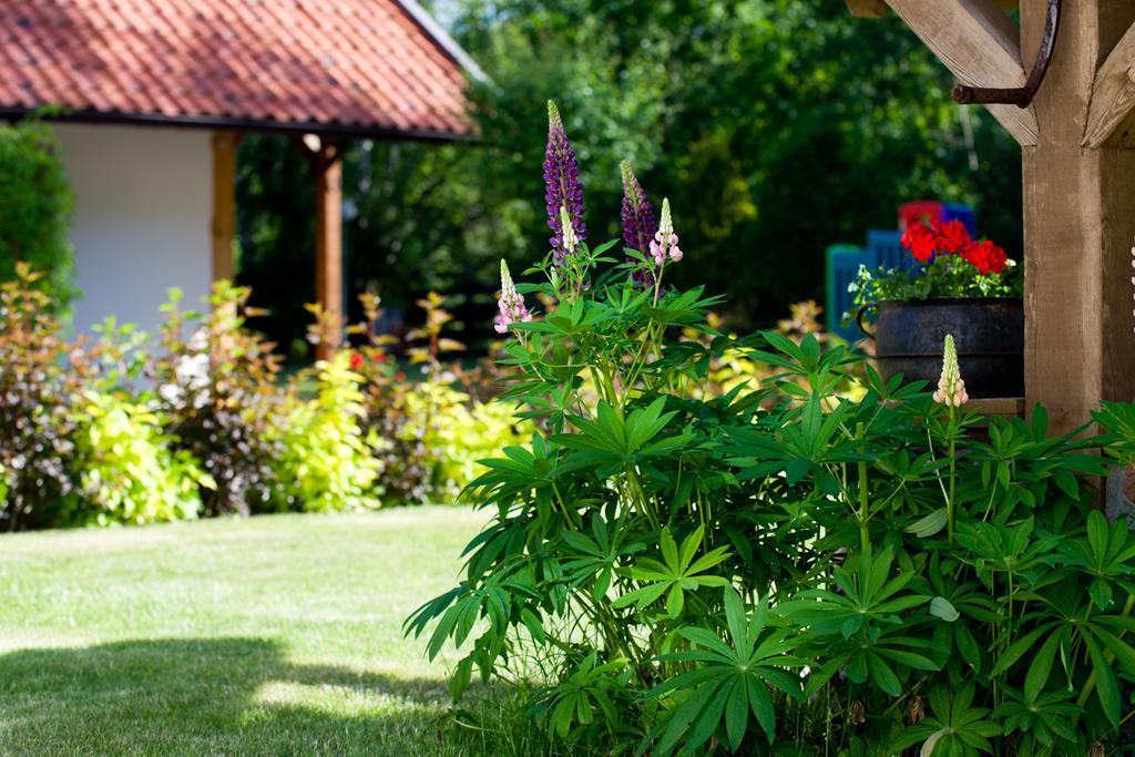 Siedlisko Grabinowo K/Olsztyna Villa ภายนอก รูปภาพ
